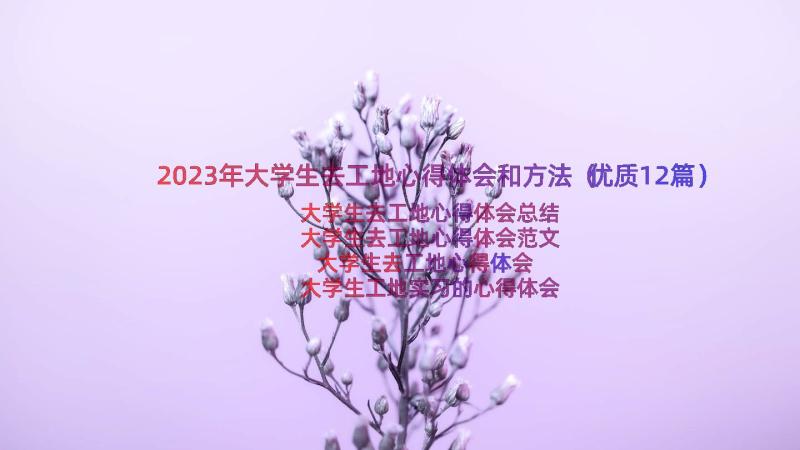 2023年大学生去工地心得体会和方法（优质12篇）