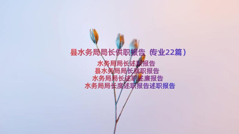 县水务局局长供职报告（专业22篇）