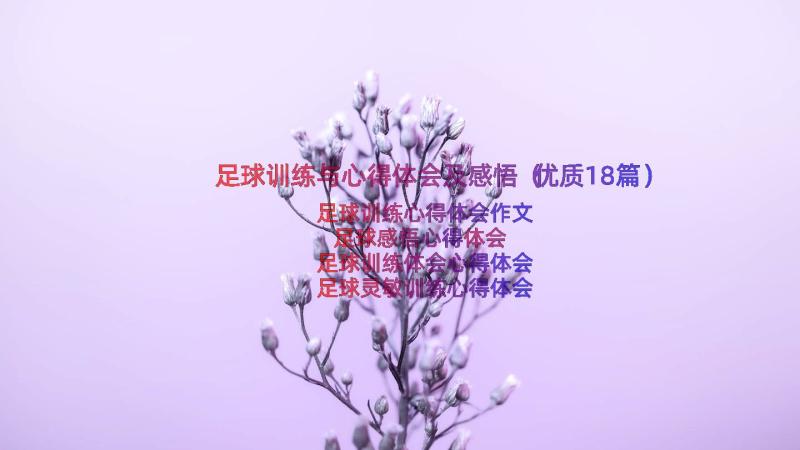 足球训练与心得体会及感悟（优质18篇）