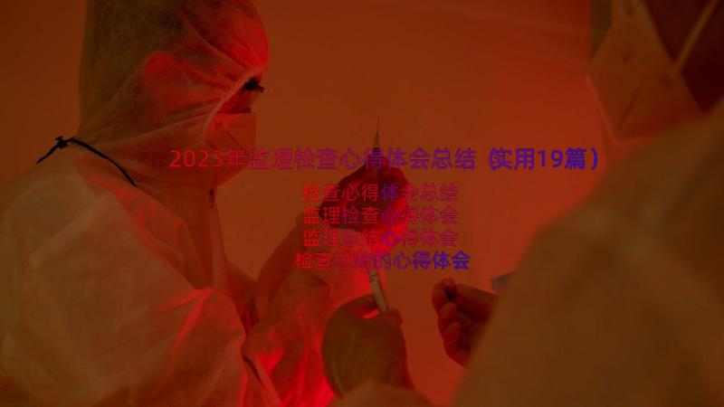 2023年监理检查心得体会总结（实用19篇）