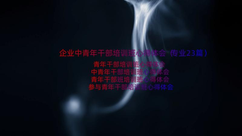 企业中青年干部培训班心得体会（专业23篇）