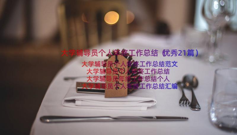 大学辅导员个人年终工作总结（优秀21篇）