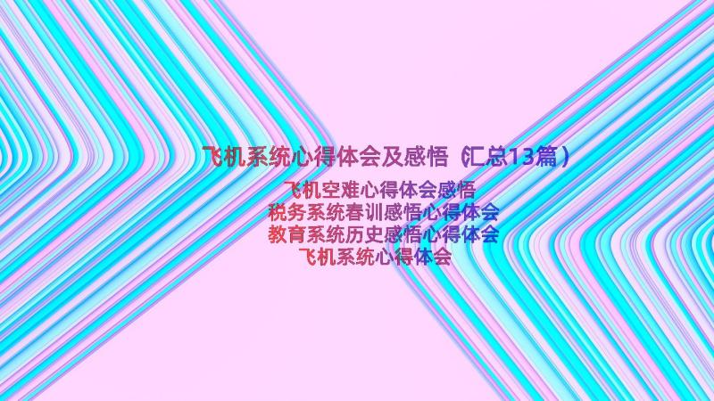 飞机系统心得体会及感悟（汇总13篇）