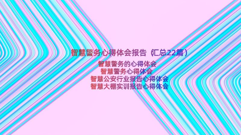 智慧警务心得体会报告（汇总22篇）