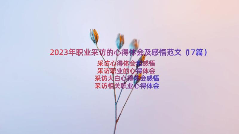 2023年职业采访的心得体会及感悟范文（17篇）