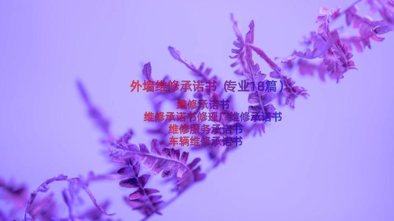 外墙维修承诺书（专业18篇）