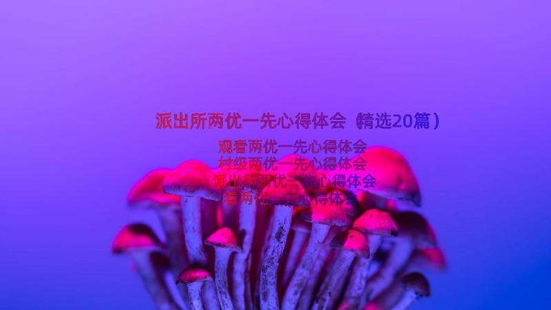 派出所两优一先心得体会（精选20篇）