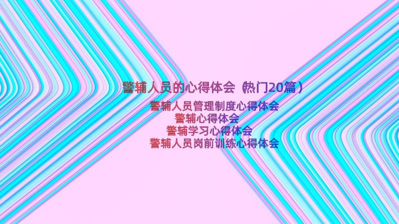 警辅人员的心得体会（热门20篇）