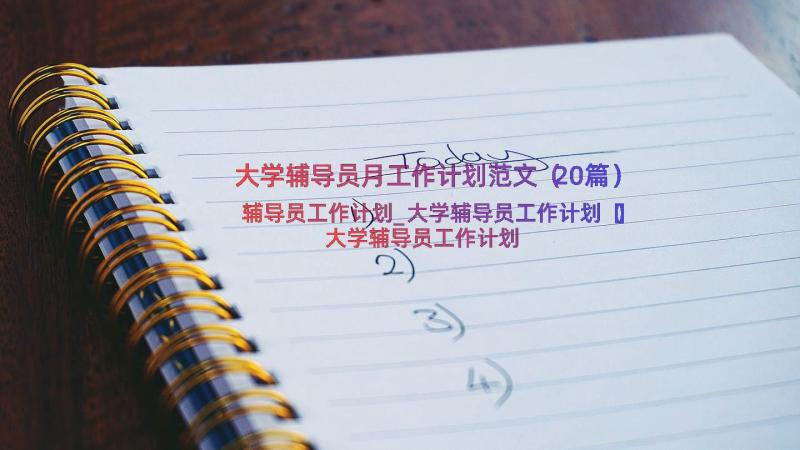 大学辅导员月工作计划范文（20篇）