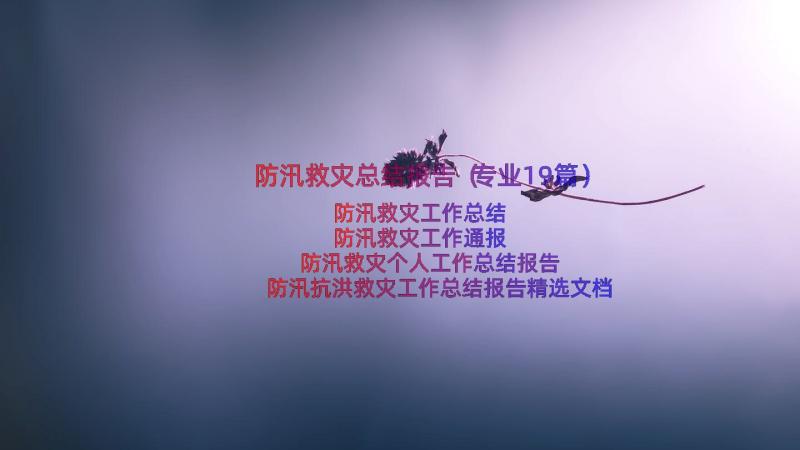 防汛救灾总结报告（专业19篇）