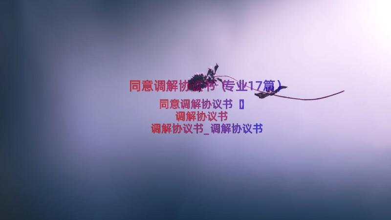 同意调解协议书（专业17篇）