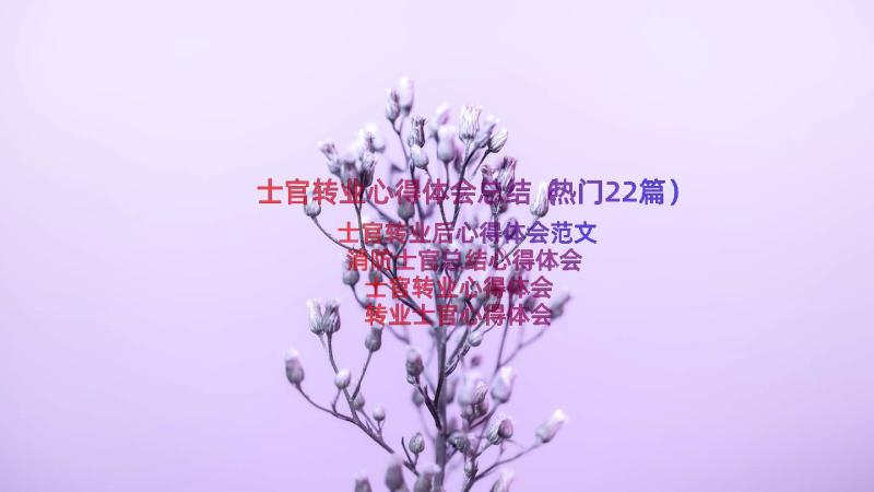 士官转业心得体会总结（热门22篇）