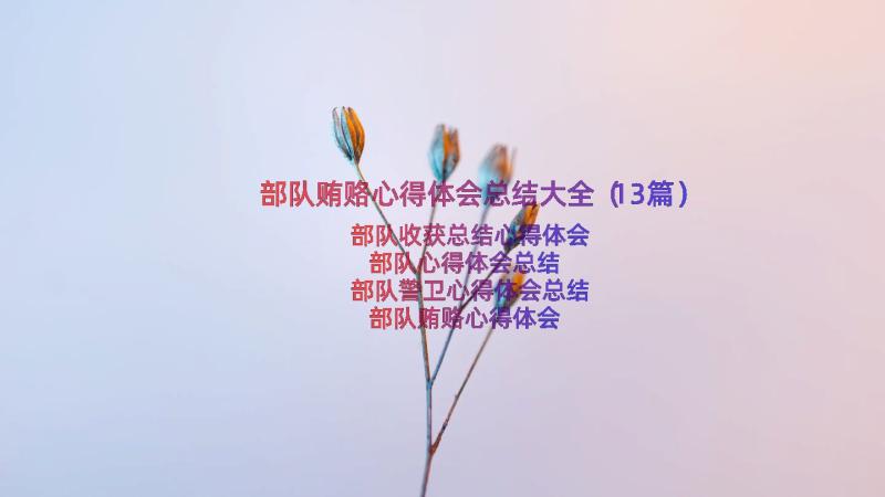 部队贿赂心得体会总结大全（13篇）