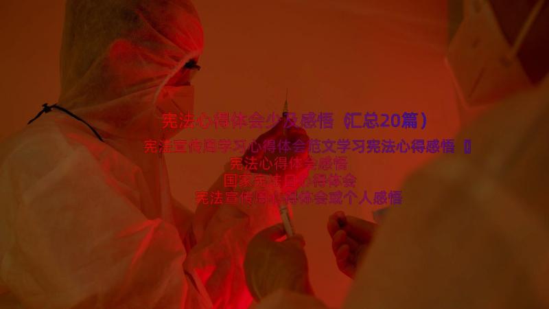 宪法心得体会少及感悟（汇总20篇）