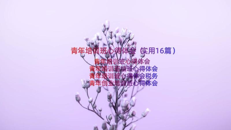 青年培训班心得体会（实用16篇）