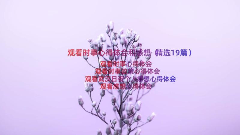 观看时事心得体会和感想（精选19篇）