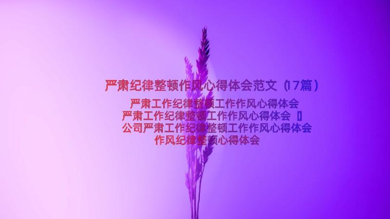 严肃纪律整顿作风心得体会范文（17篇）