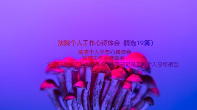 法院个人工作心得体会（精选19篇）