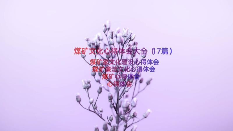 煤矿文化心得体会大全（17篇）