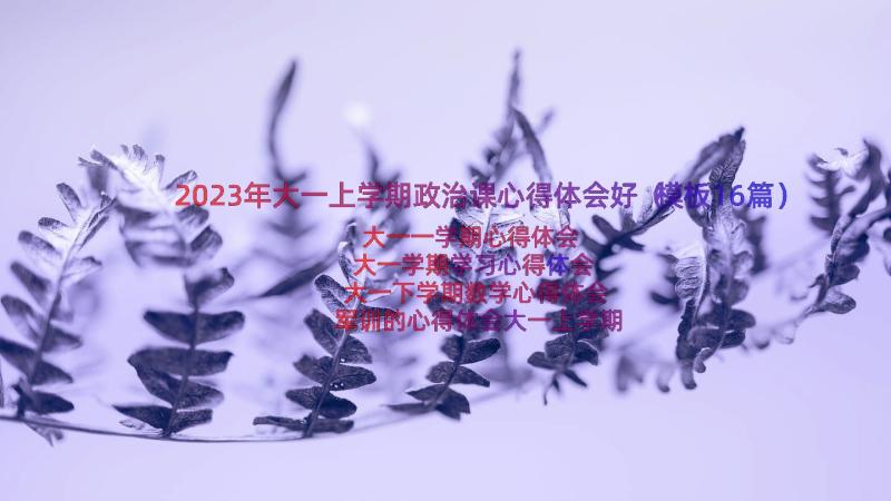 2023年大一上学期政治课心得体会好（模板16篇）