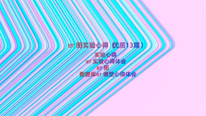 er图实验心得（优质13篇）