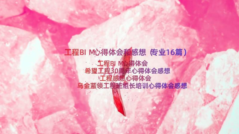 工程BIM心得体会和感想（专业16篇）