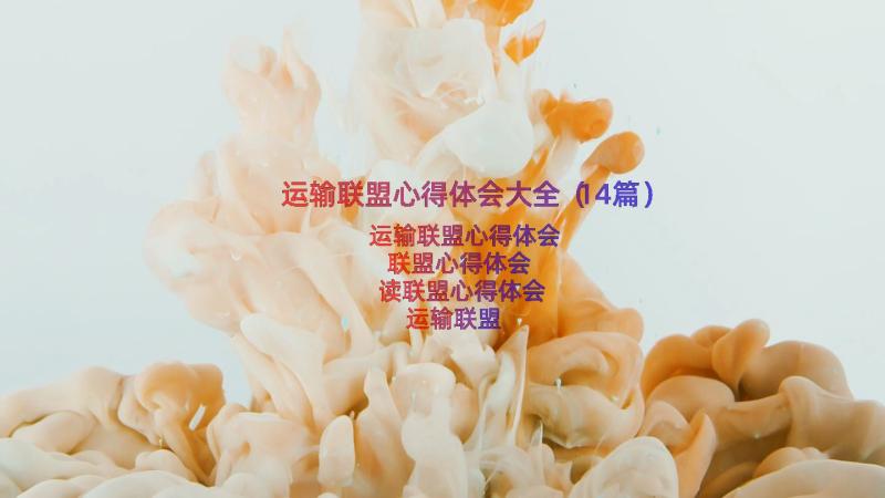 运输联盟心得体会大全（14篇）