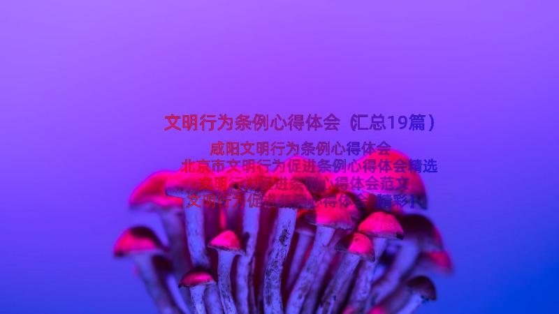 文明行为条例心得体会（汇总19篇）