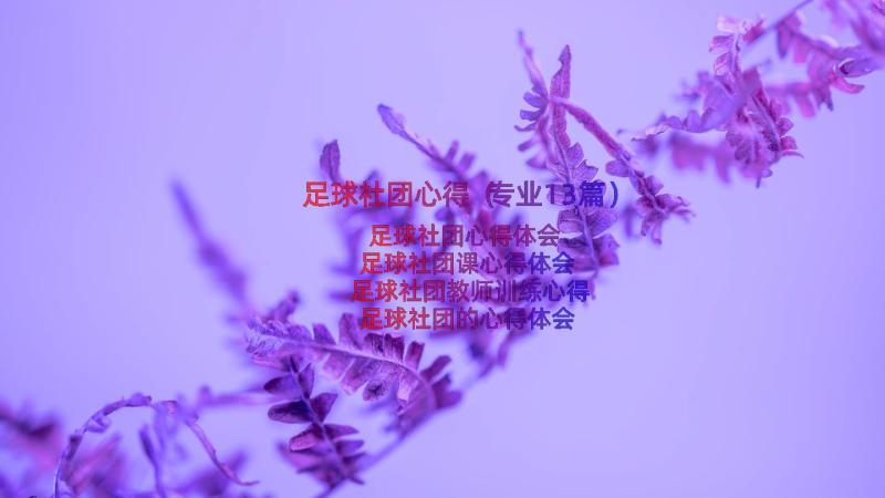 足球社团心得（专业13篇）