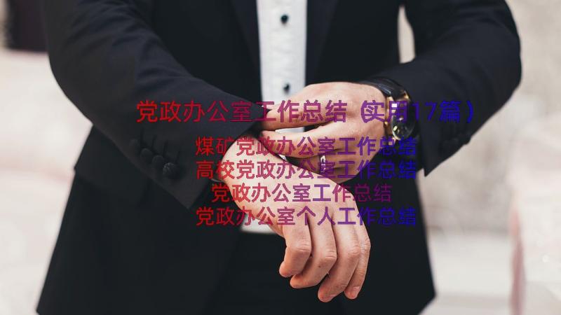 党政办公室工作总结（实用17篇）