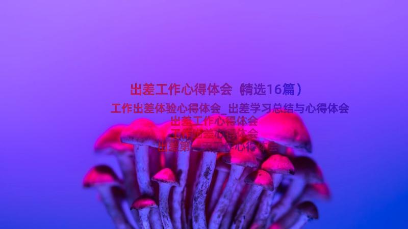 出差工作心得体会（精选16篇）