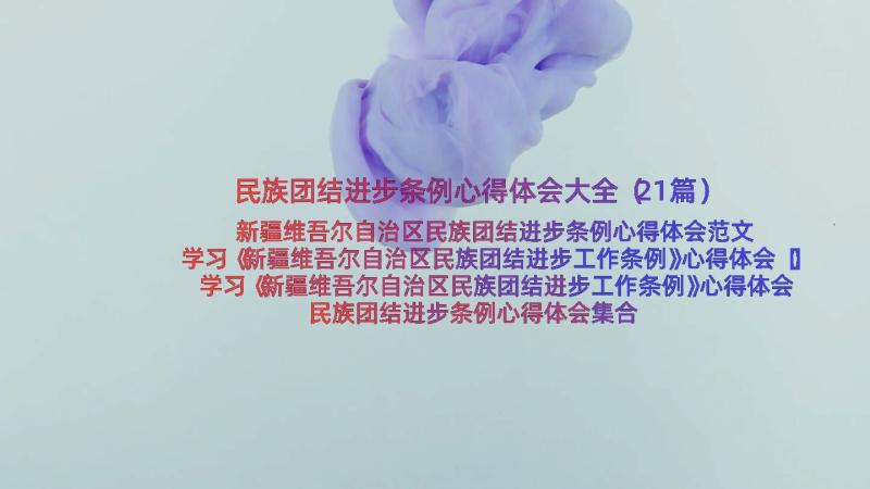 民族团结进步条例心得体会大全（21篇）