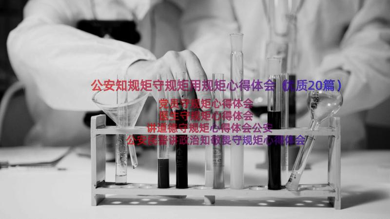 公安知规矩守规矩用规矩心得体会（优质20篇）