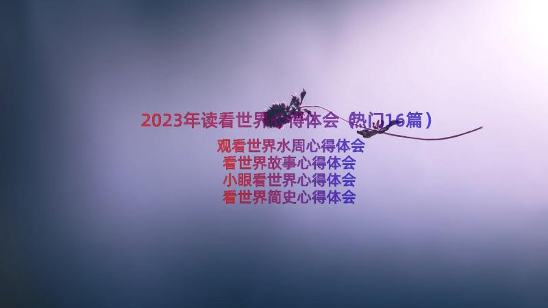 2023年读看世界心得体会（热门16篇）