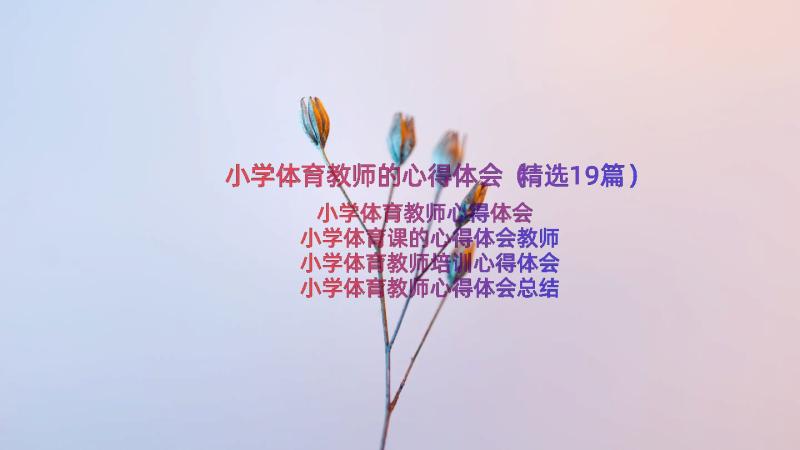 小学体育教师的心得体会（精选19篇）