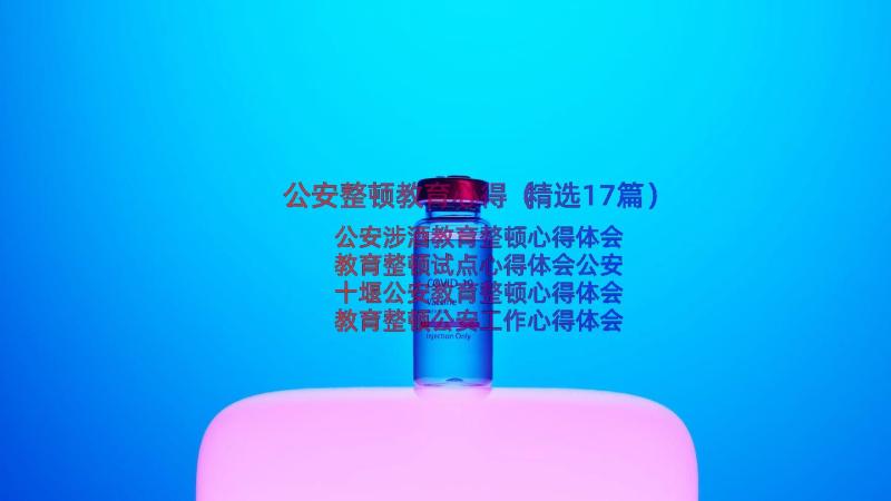 公安整顿教育心得（精选17篇）