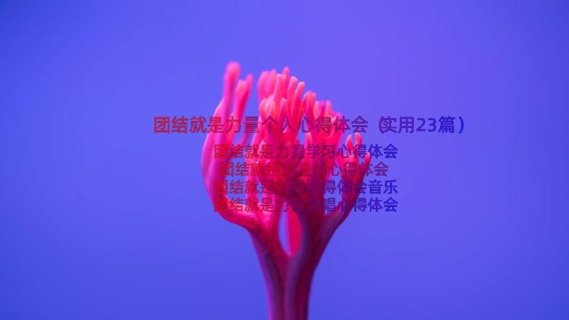 团结就是力量个人心得体会（实用23篇）