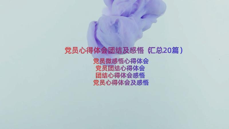 党员心得体会团结及感悟（汇总20篇）