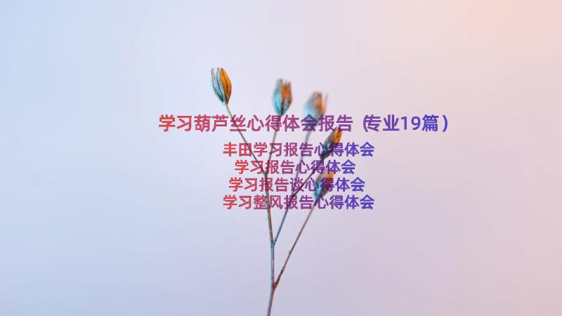 学习葫芦丝心得体会报告（专业19篇）