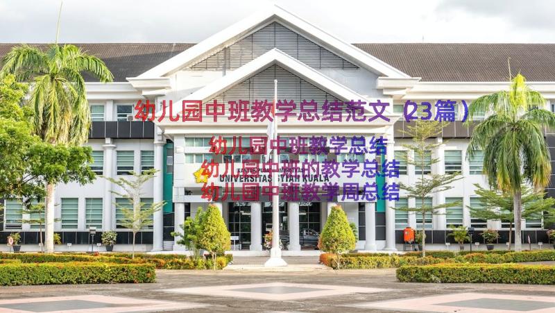 幼儿园中班教学总结范文（23篇）