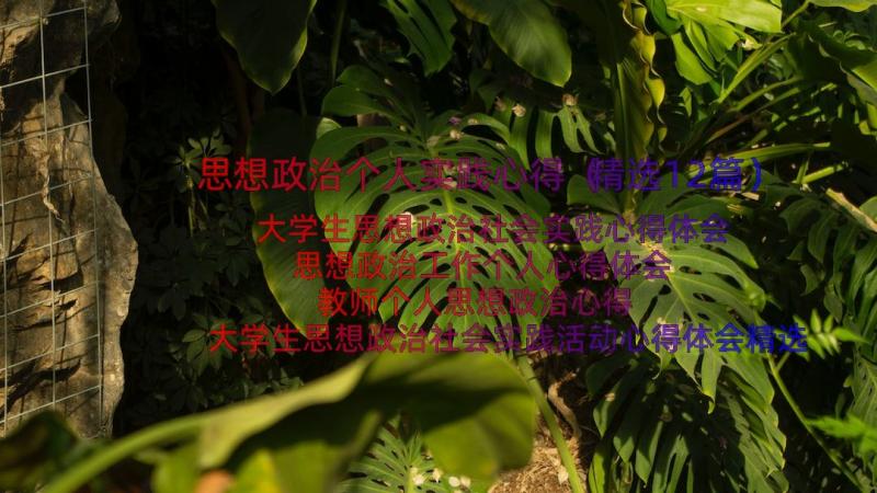 思想政治个人实践心得（精选12篇）