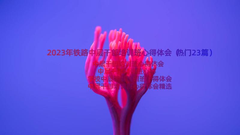 2023年铁路中层干部培训班心得体会（热门23篇）