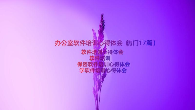 办公室软件培训心得体会（热门17篇）