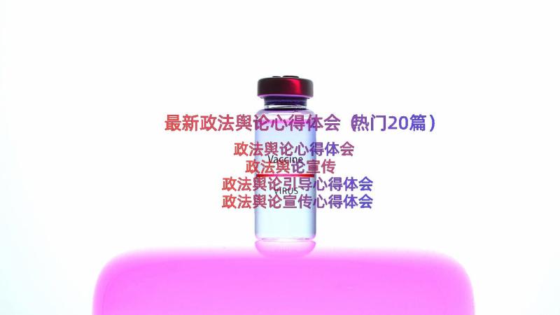 最新政法舆论心得体会（热门20篇）