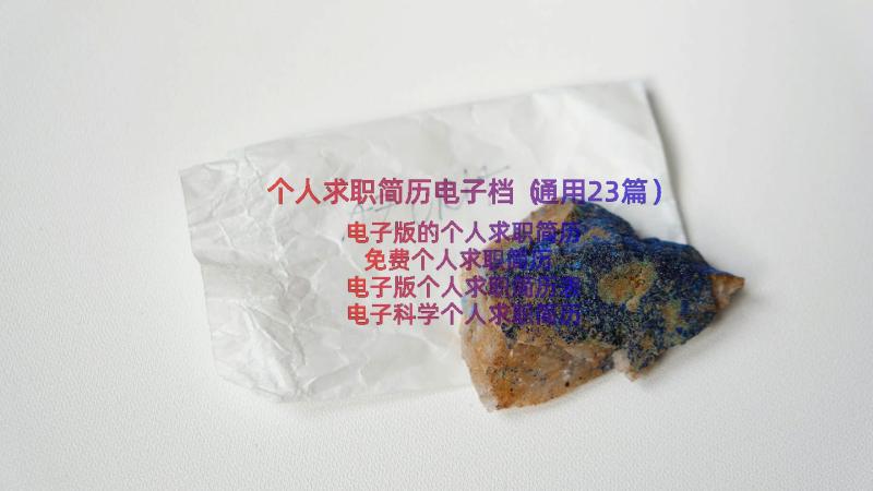 个人求职简历电子档（通用23篇）