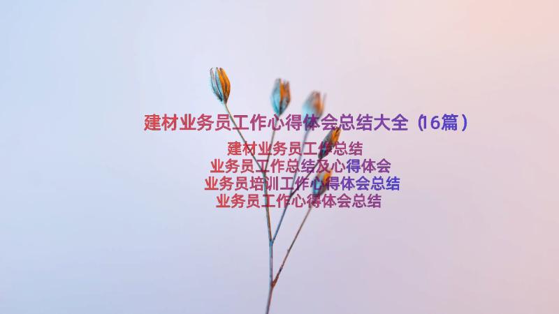 建材业务员工作心得体会总结大全（16篇）