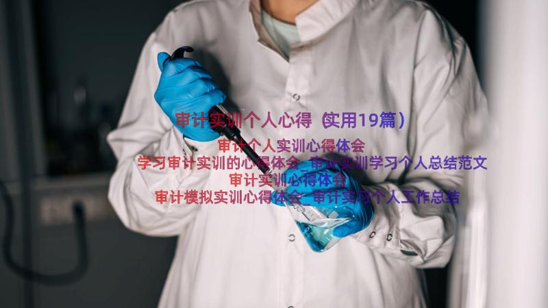 审计实训个人心得（实用19篇）