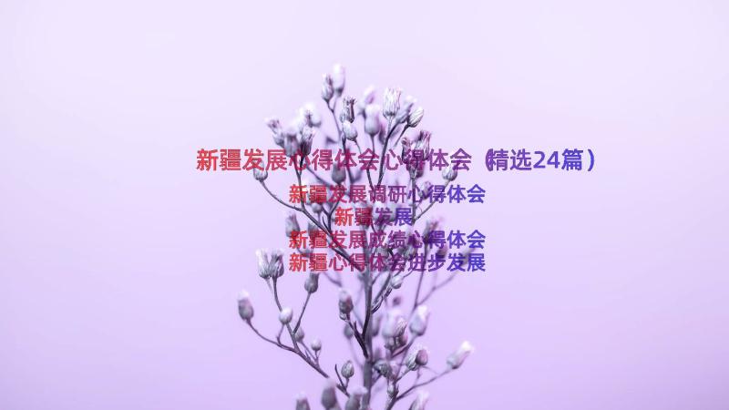 新疆发展心得体会心得体会（精选24篇）