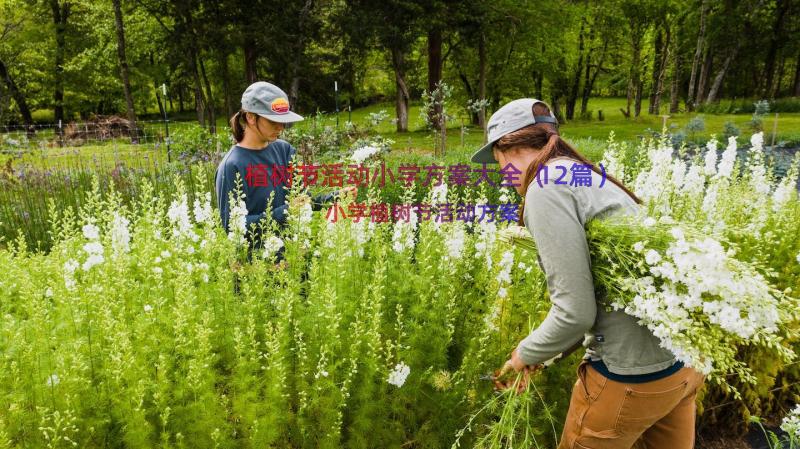 植树节活动小学方案大全（12篇）