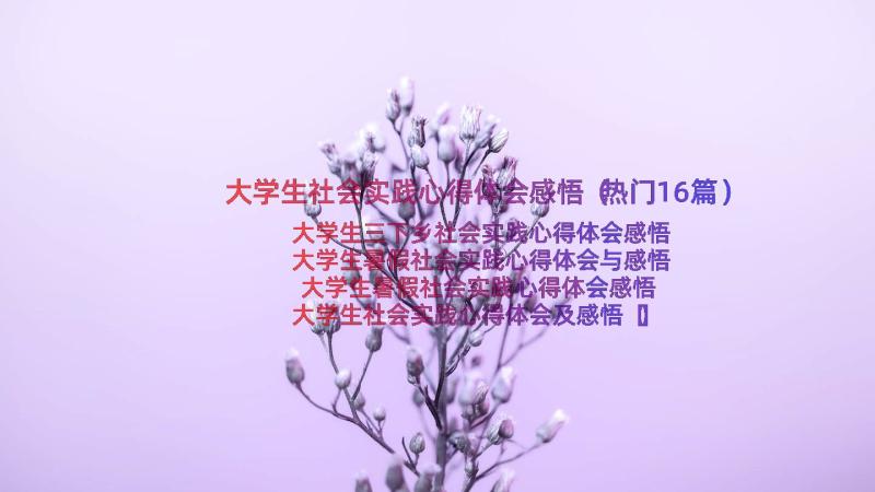 大学生社会实践心得体会感悟（热门16篇）